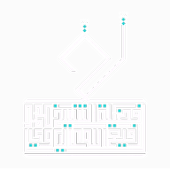 فضيلة الشيخ محمد رفیع الله عالياوي